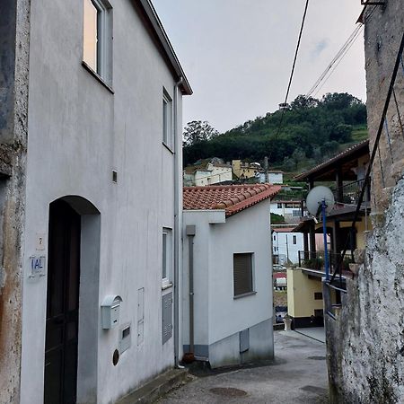 Casa Vale Do Rio Villa Penacova Exterior photo